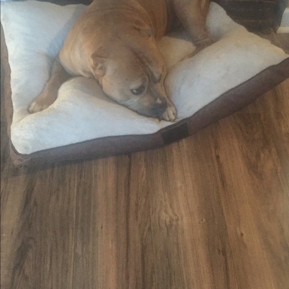 Meet your Posher, Jaime ❗️Top Rated Seller ❗️ - Picture 7 of 8